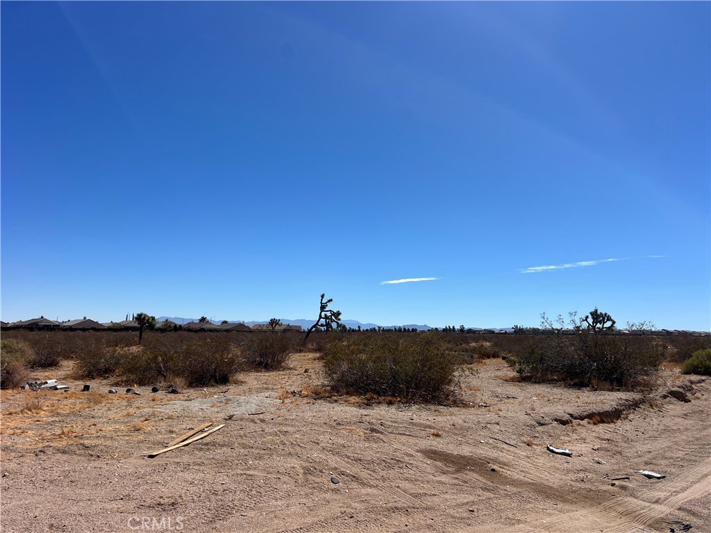 0 Fremontia Property Photo 3