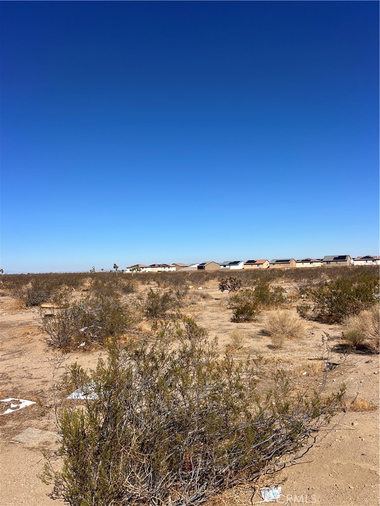 0 Fremontia Property Photo 6