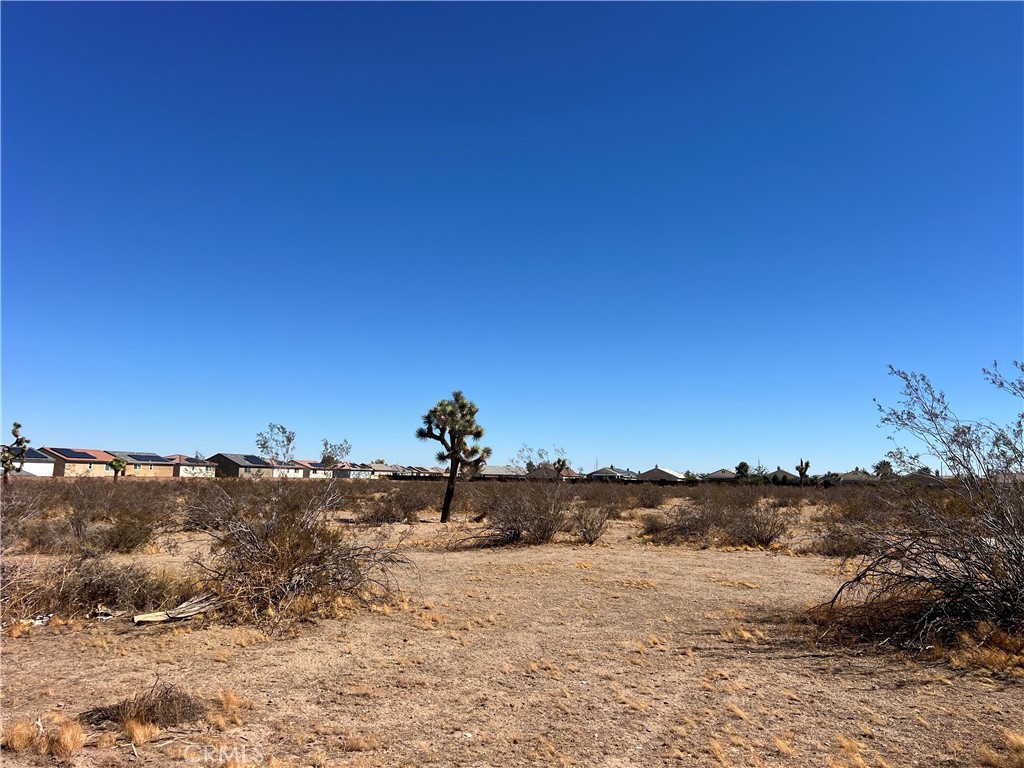 0 Fremontia Property Photo 9