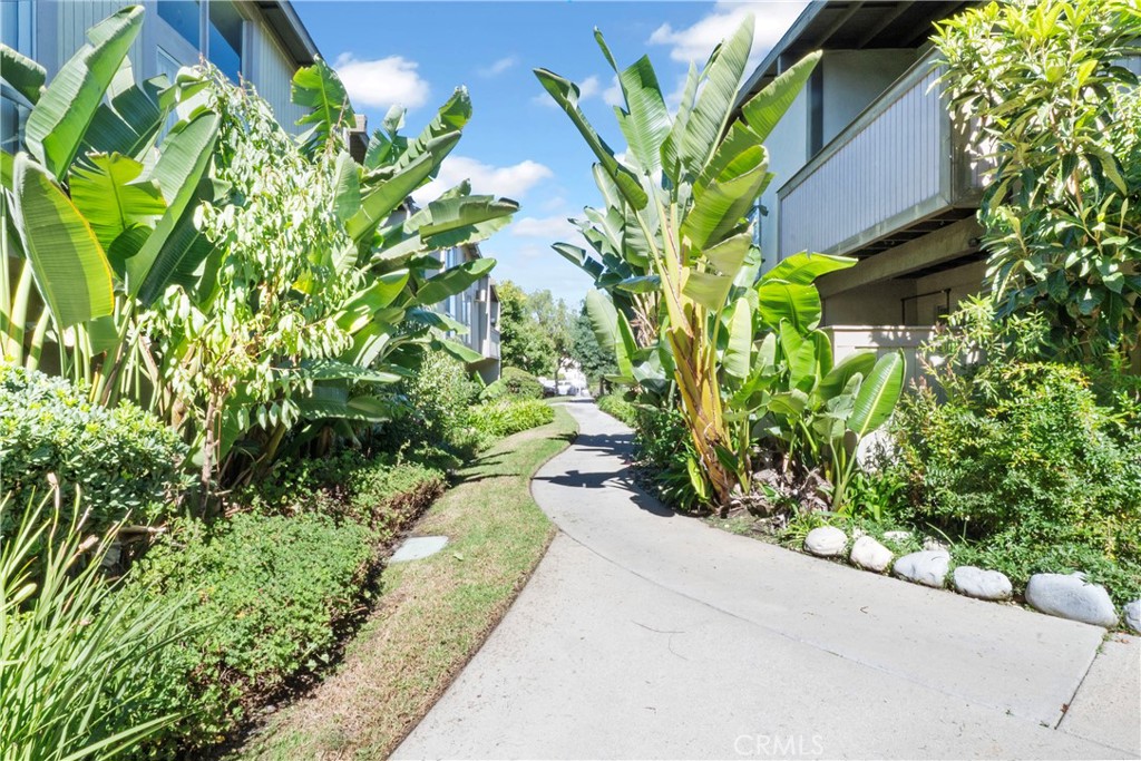 826 Coriander Drive D Property Photo 23