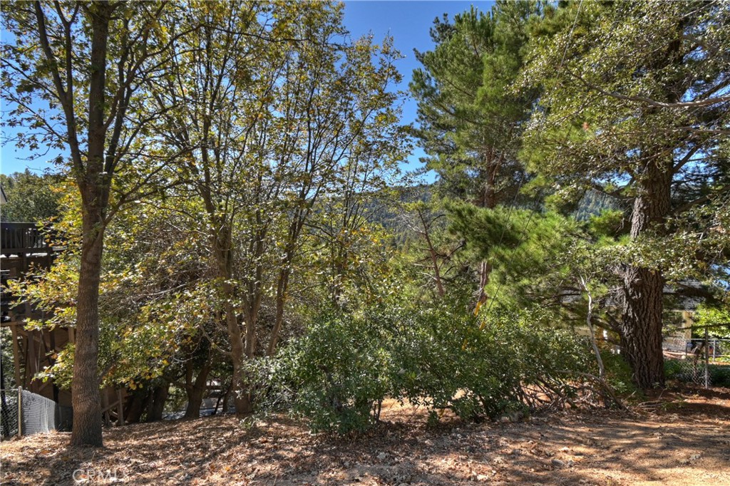 428 Delle Drive Property Photo 13