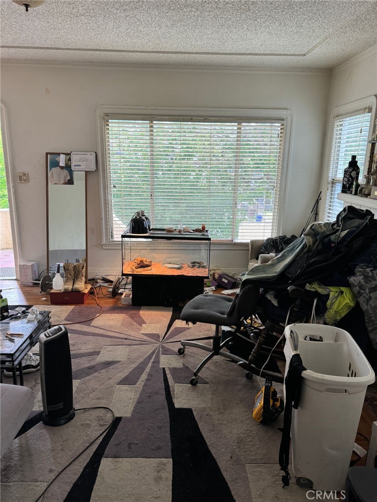 2123 High Property Photo 3