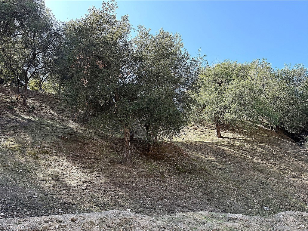 0 High Cliff Trail Property Photo 2