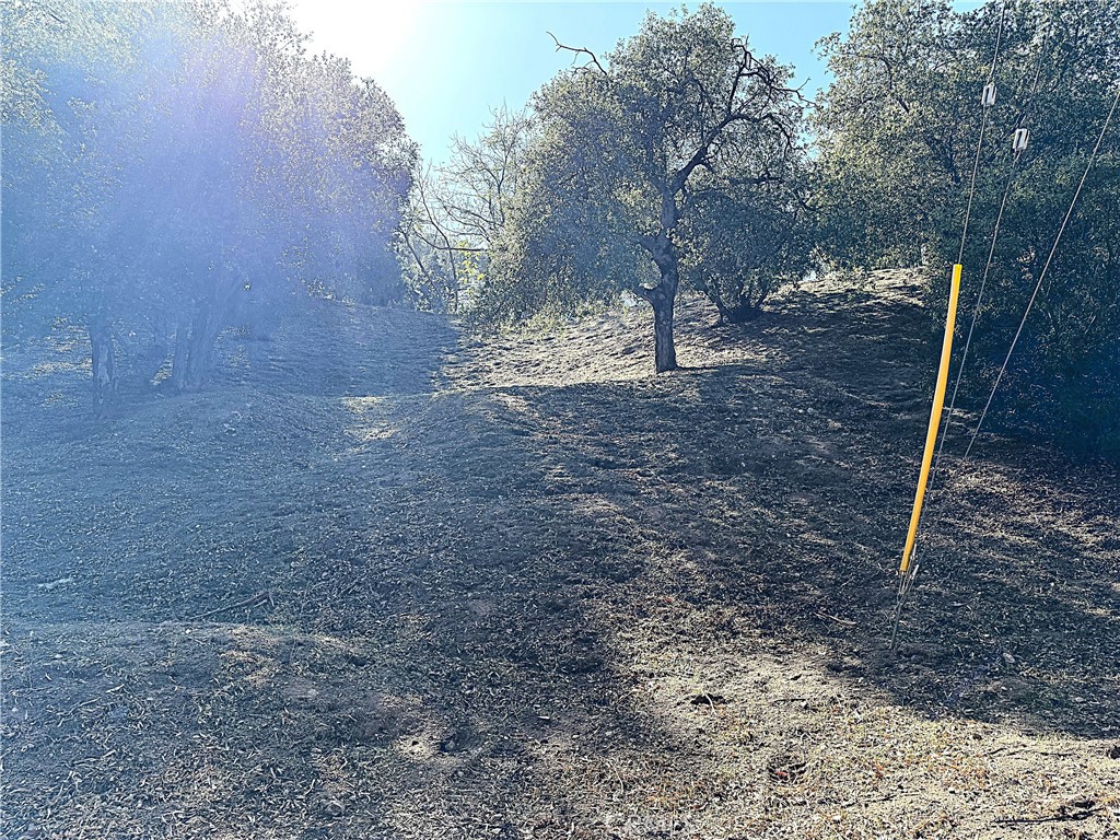 0 High Cliff Trail Property Photo 8