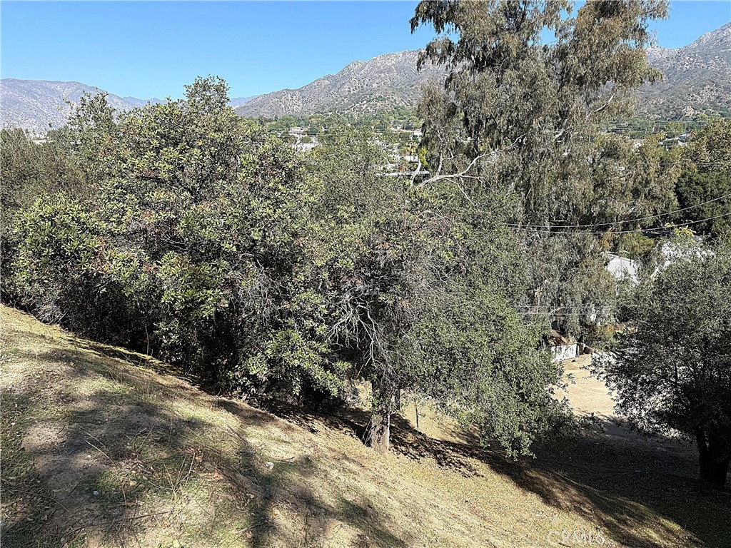 0 High Cliff Trail Property Photo 14