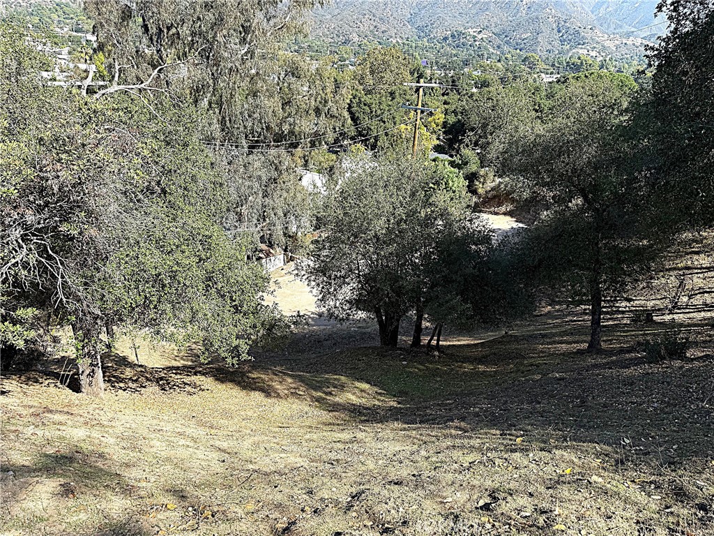 0 High Cliff Trail Property Photo 16