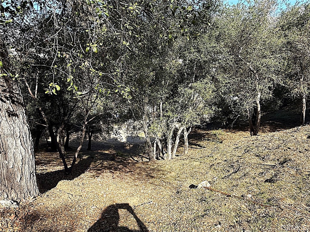 0 High Cliff Trail Property Photo 17