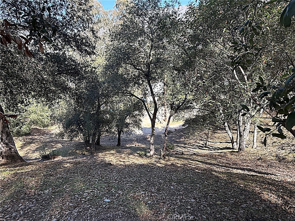 0 High Cliff Trail Property Photo 19