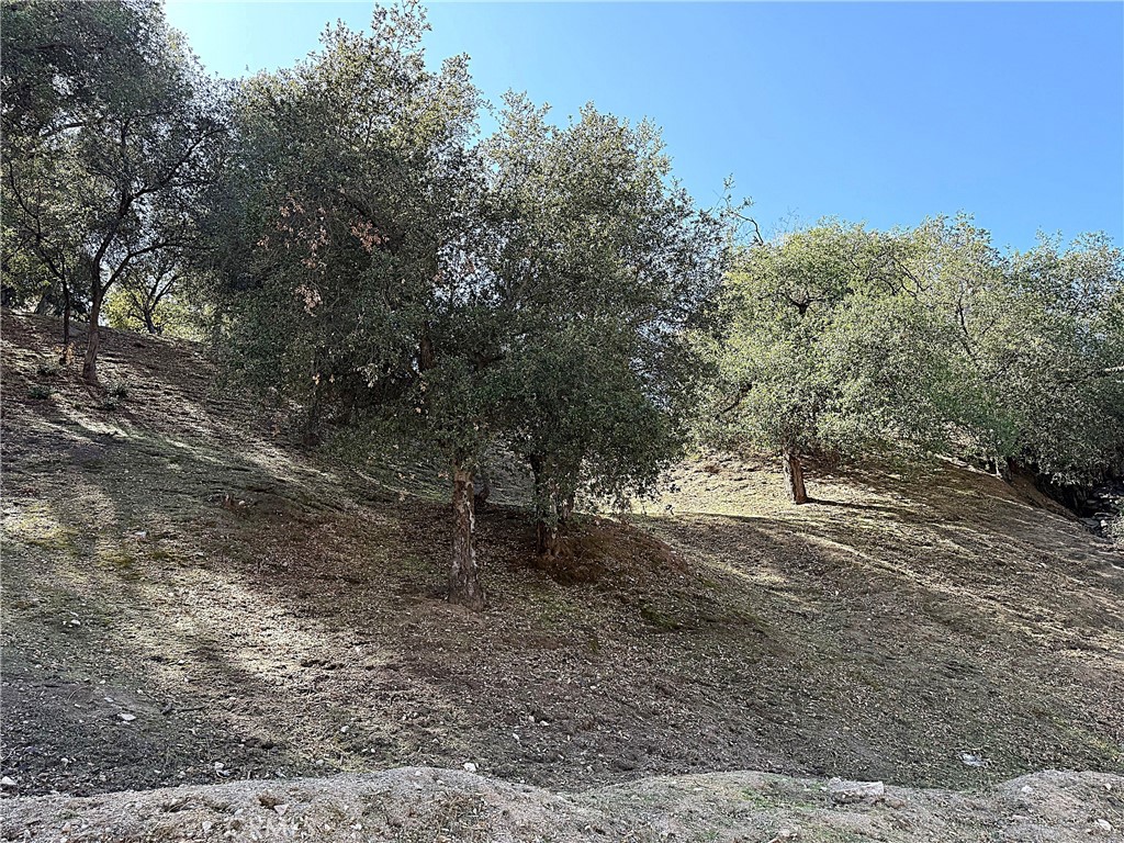 0 High Cliff Trail Property Photo 2