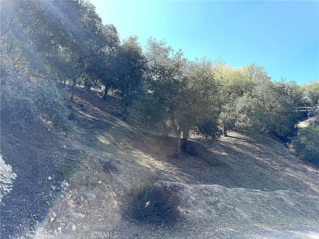 0 High Cliff Trail Property Photo 3