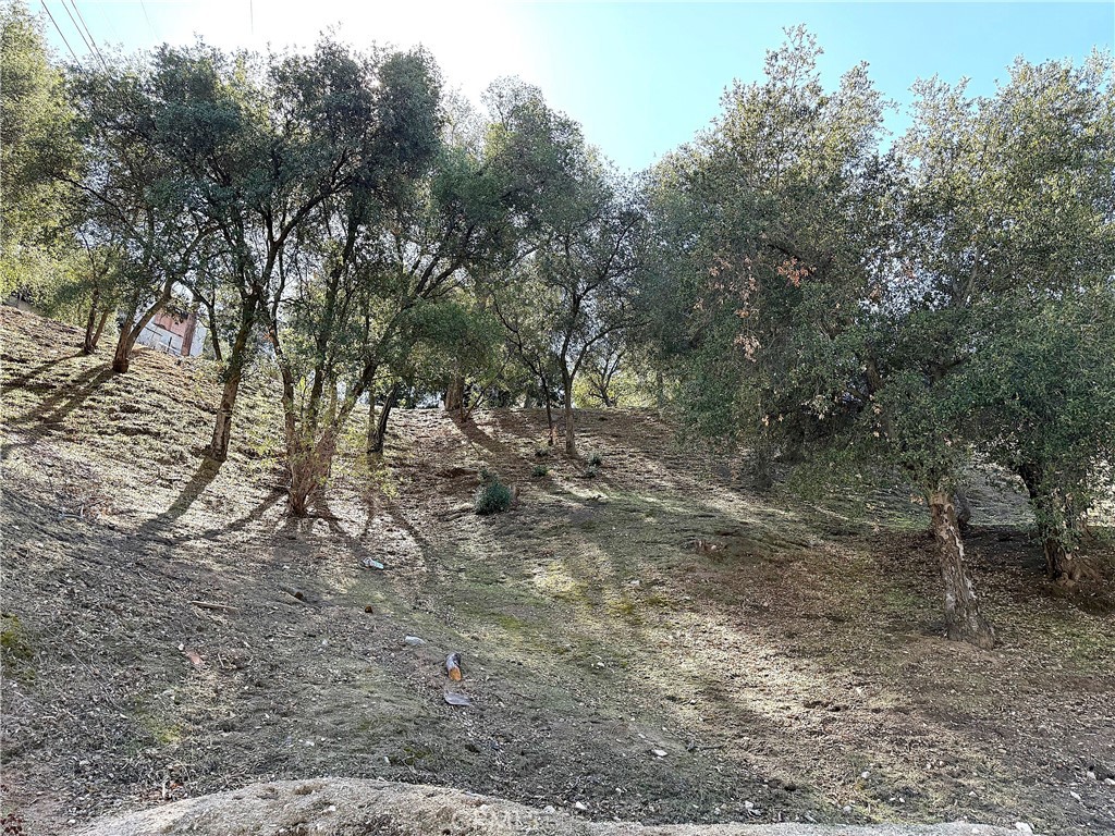 0 High Cliff Trail Property Photo 6