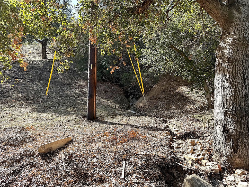 0 High Cliff Trail Property Photo 14