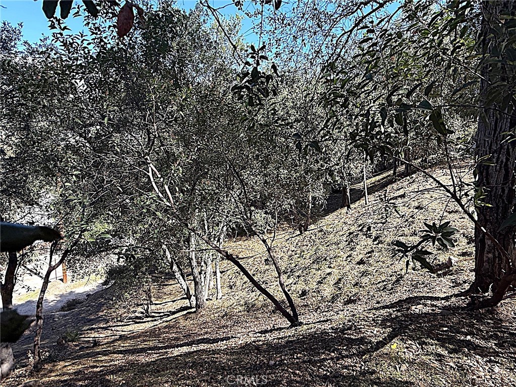 0 High Cliff Trail Property Photo 15
