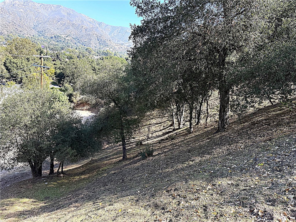 0 High Cliff Trail Property Photo 18