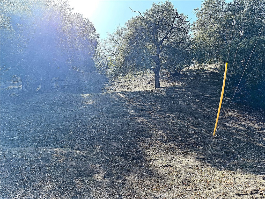 0 High Cliff Trail Property Photo 6