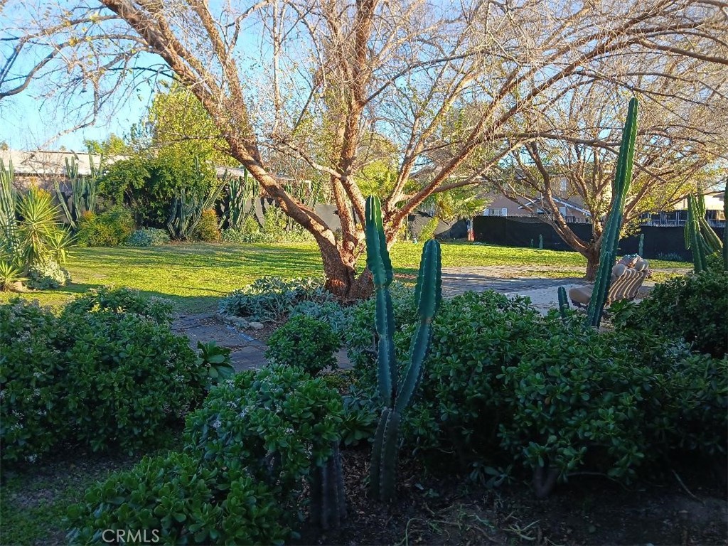 2111 Orange St Property Photo 38