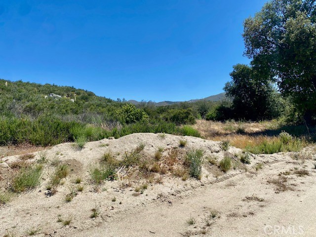 0 Buchanan Property Photo 1