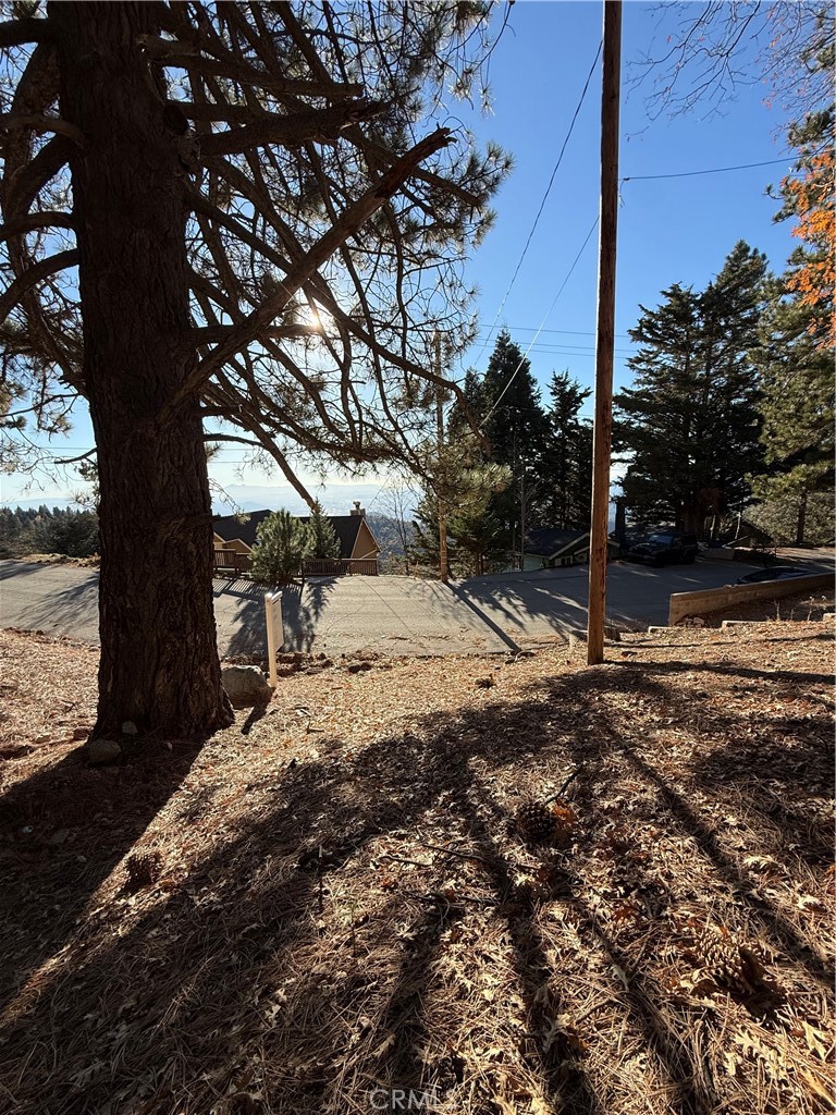0 Poplar Property Photo 2