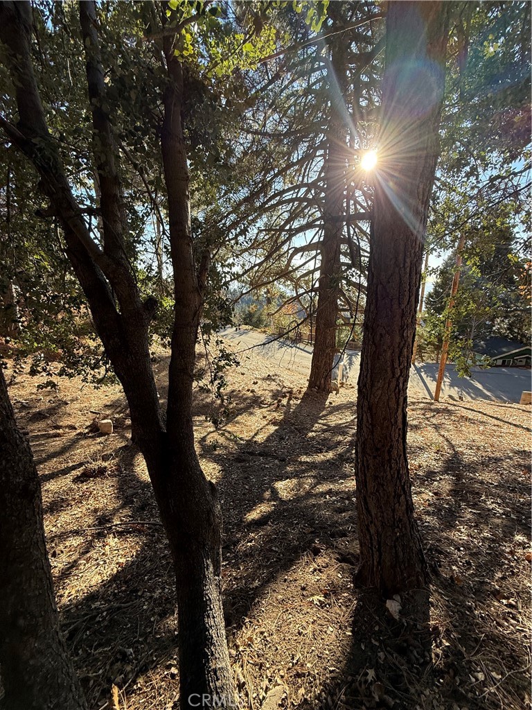 0 Poplar Property Photo 3