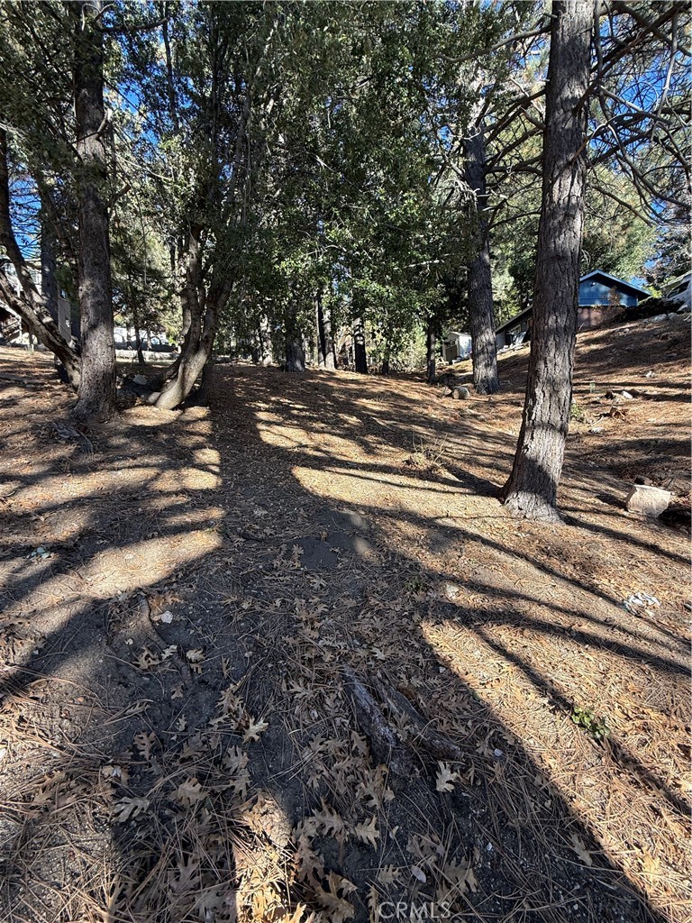 0 Poplar Property Photo 5