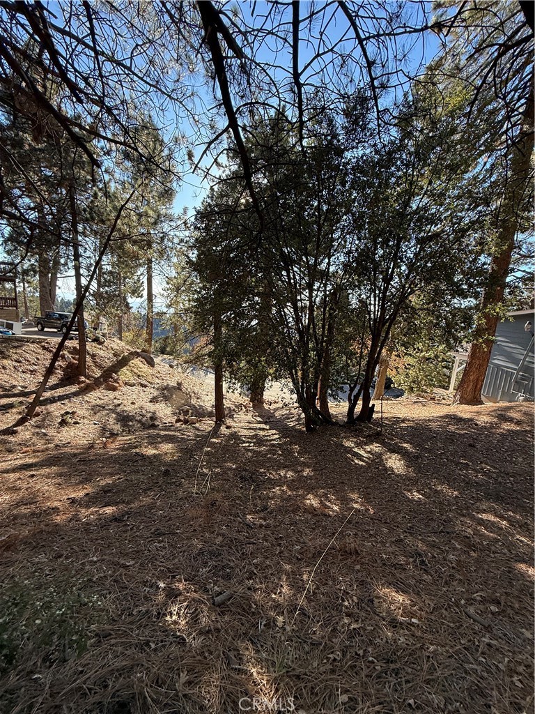 0 Poplar Property Photo 8