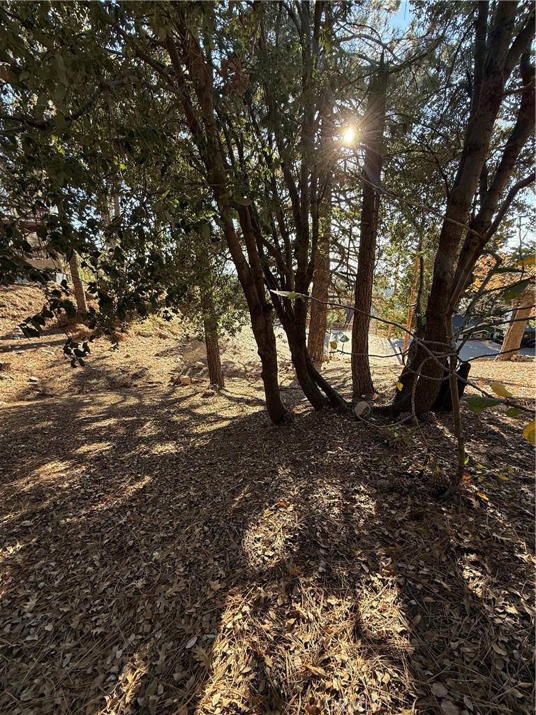 0 Poplar Property Photo 9