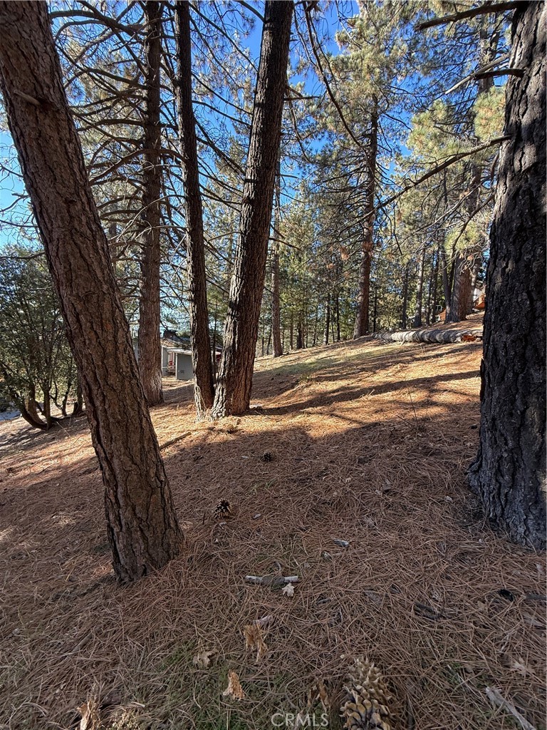0 Poplar Property Photo 11