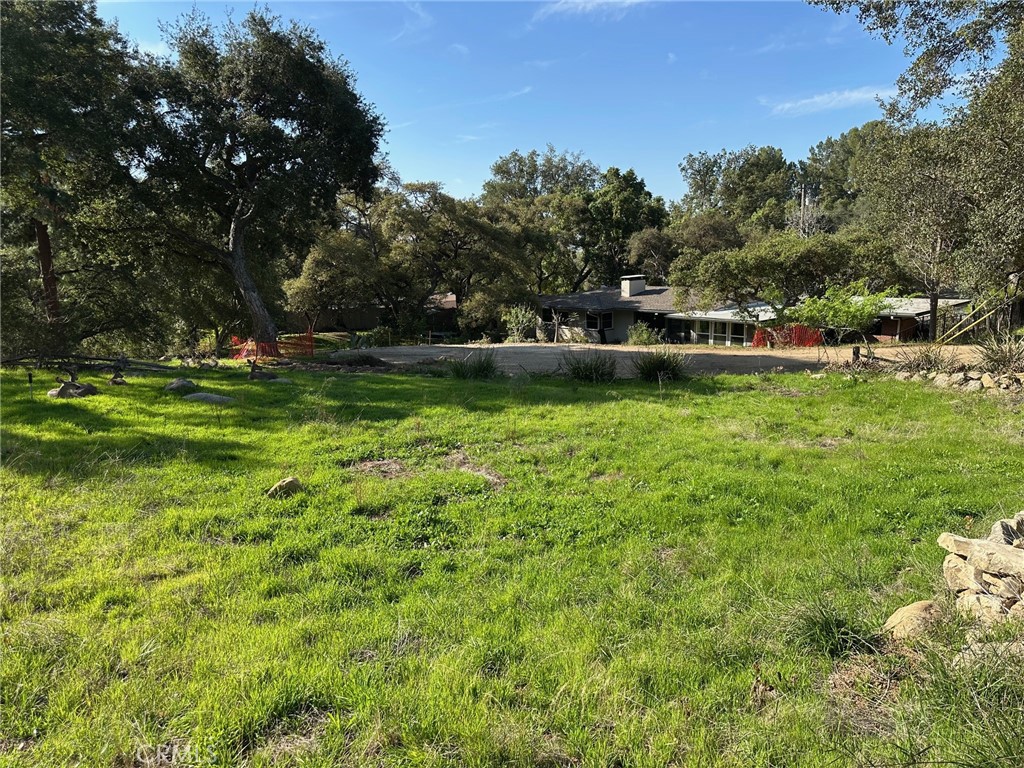 976 Ridgeside Property Photo 4