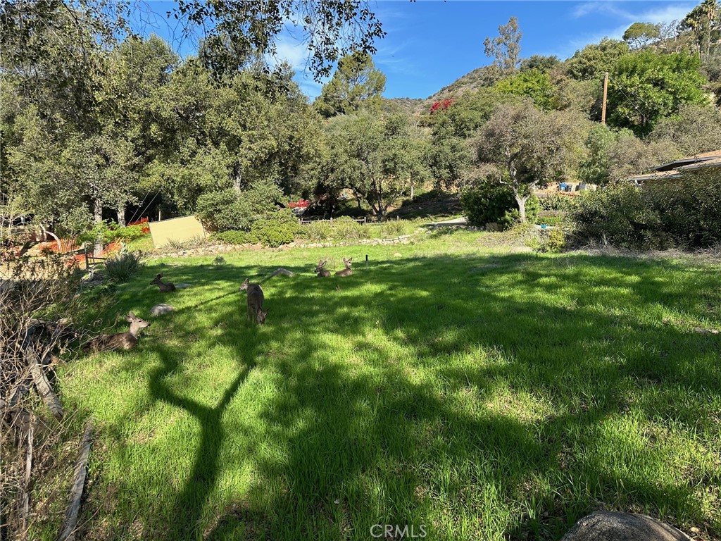 976 Ridgeside Property Photo 8