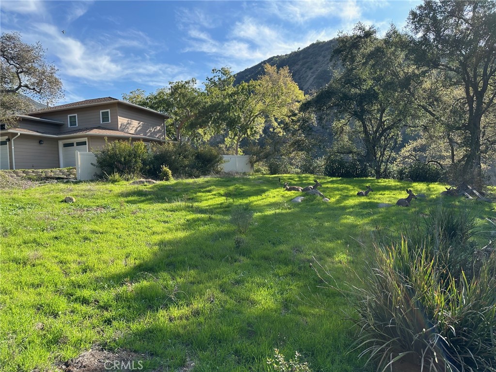 976 Ridgeside Property Photo 10