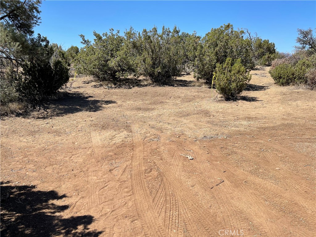 0 0 Property Photo 1