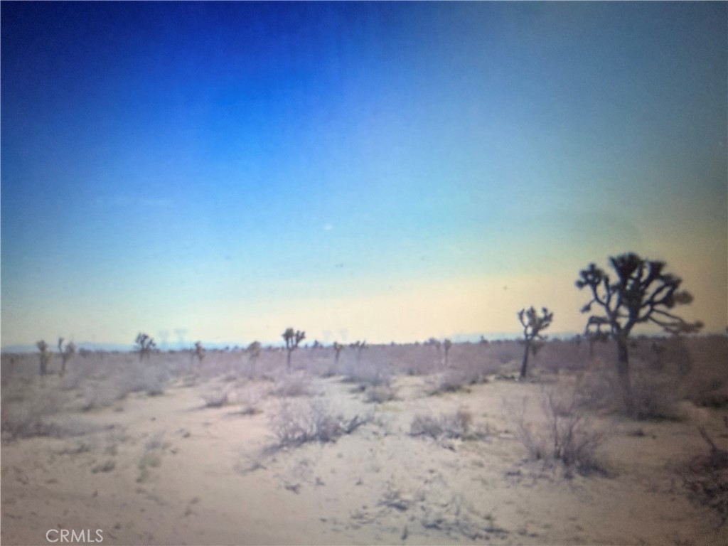 0 Nugget Road Property Photo 1