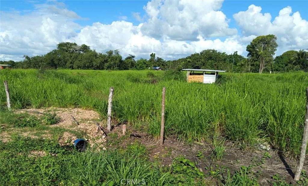 0 Santa Familia Belize Property Photo 4