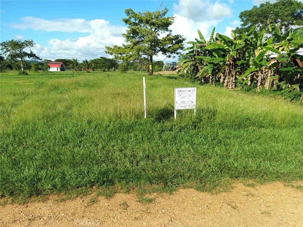 0 Santa Familia Belize Property Photo 8
