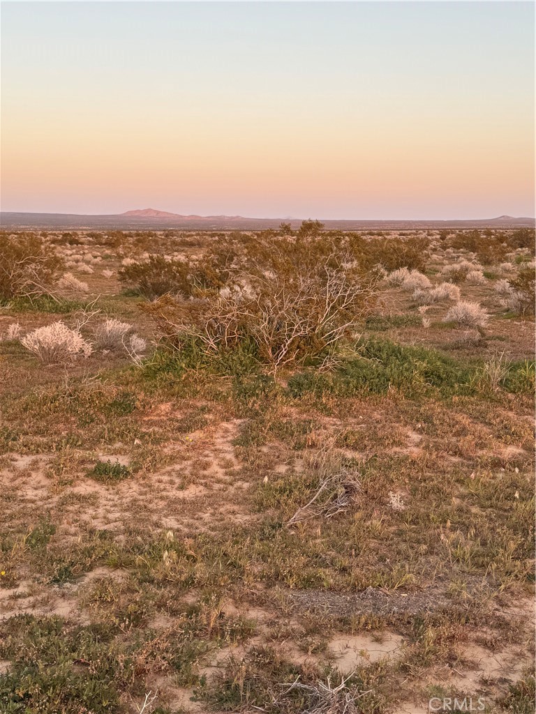 0 0 Property Photo 1