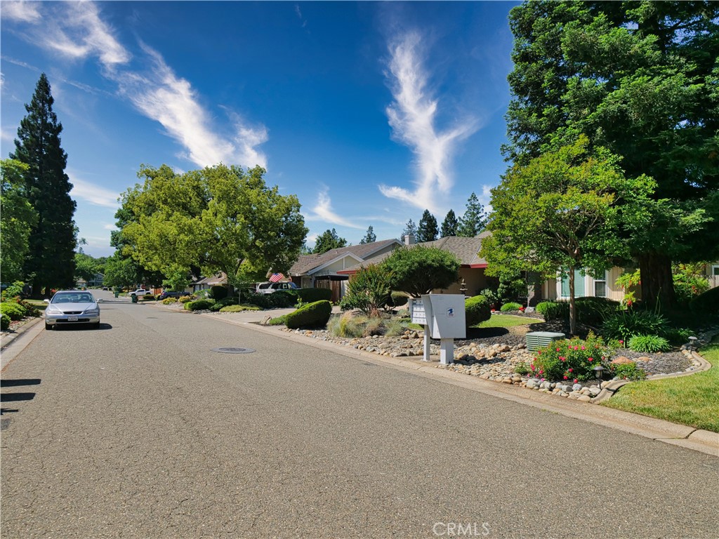 2880 Springburn Way Property Photo 41