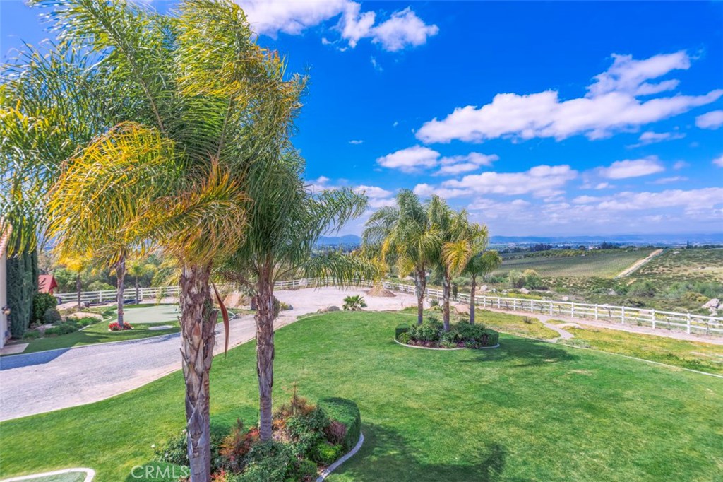 38750 Celita Property Photo 44