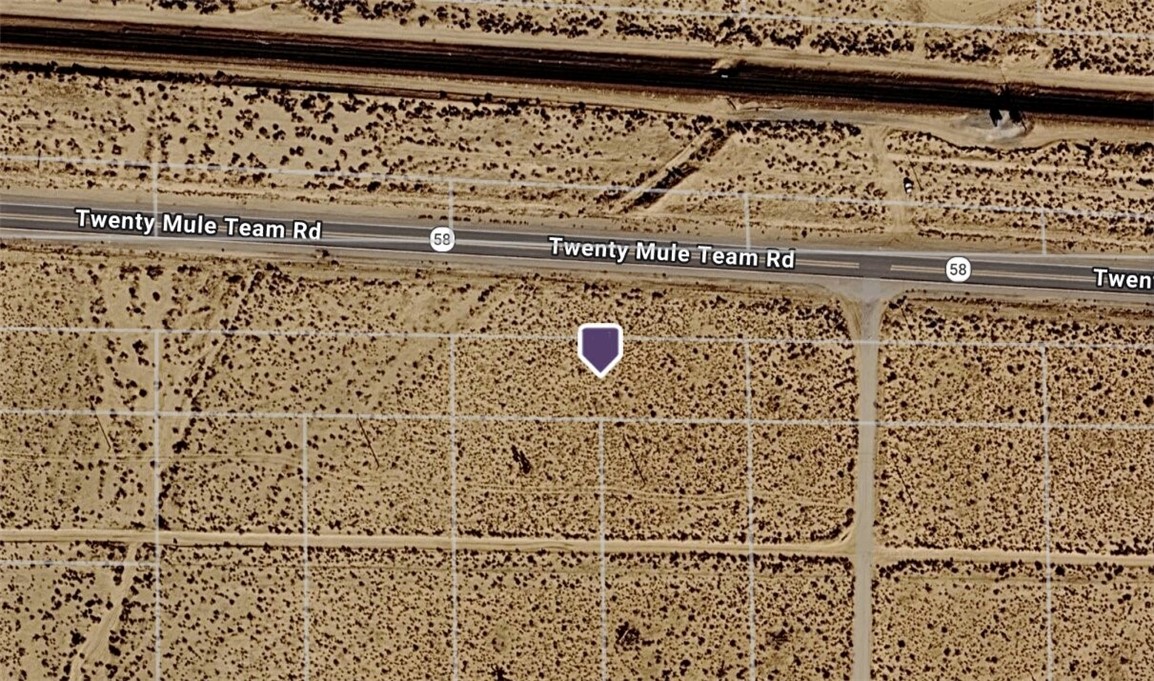 0 20 Mule Team Road Property Photo 1