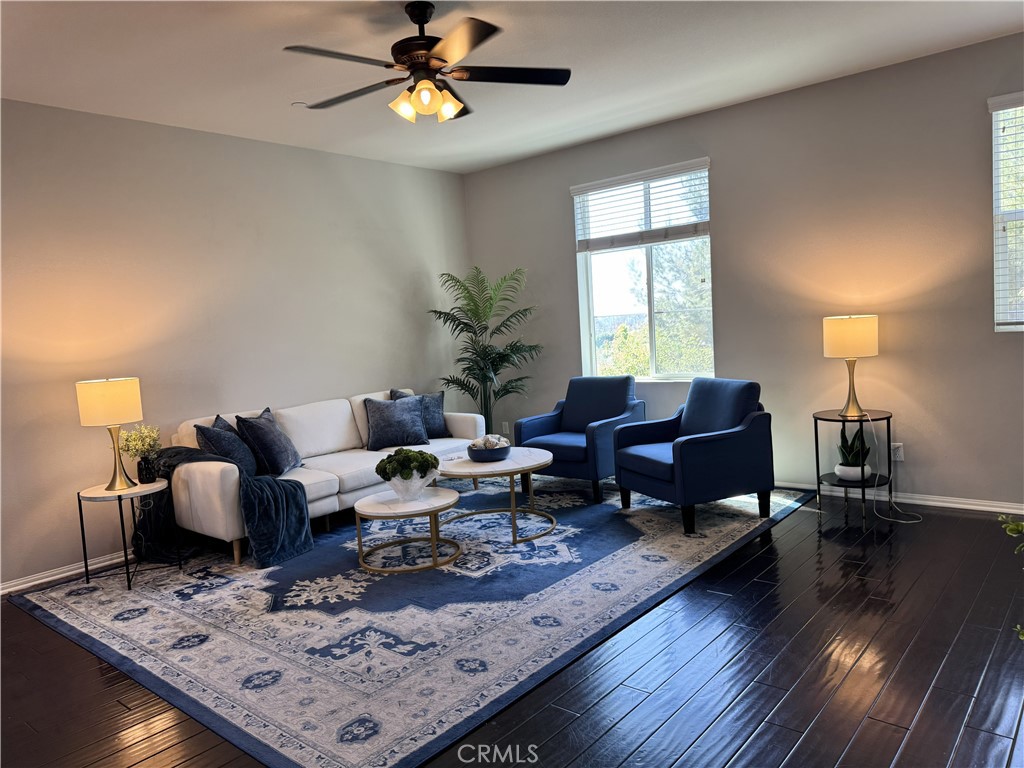 47 Aliso Ridge Loop Property Photo 4