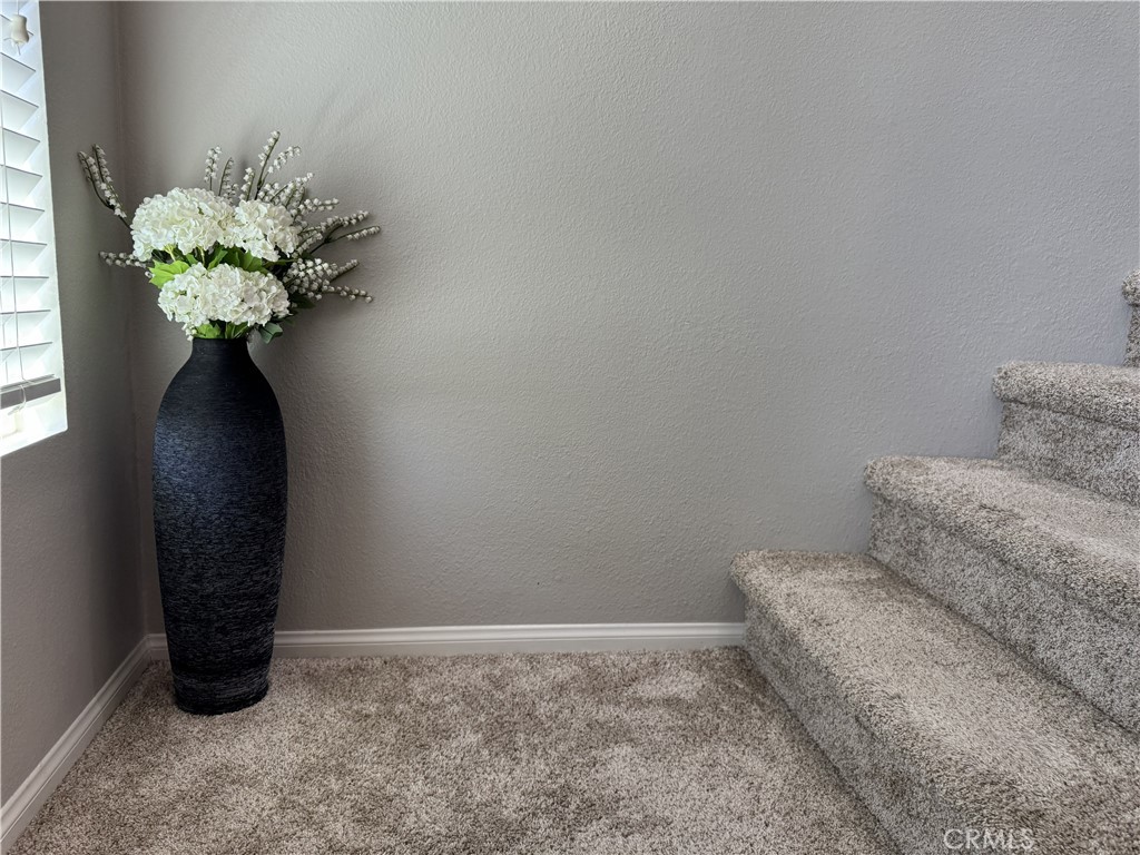 47 Aliso Ridge Loop Property Photo 22