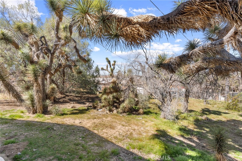 56620 Hidden Gold Drive Property Photo 12