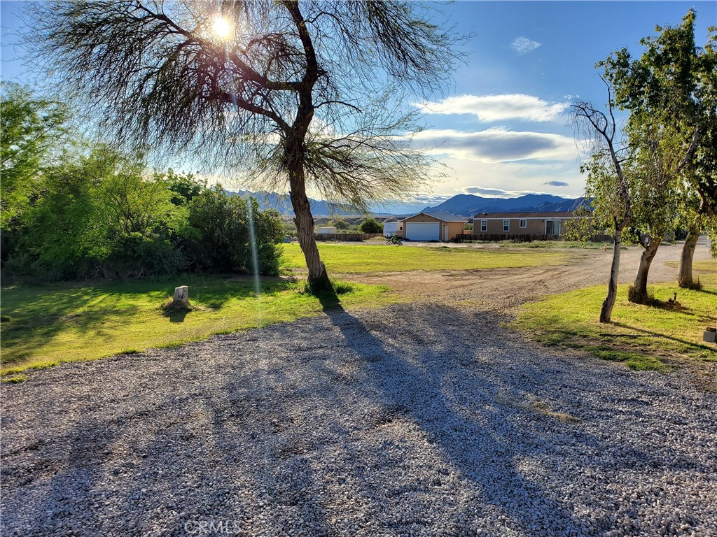 75 Shaggy Tree Property Photo 38