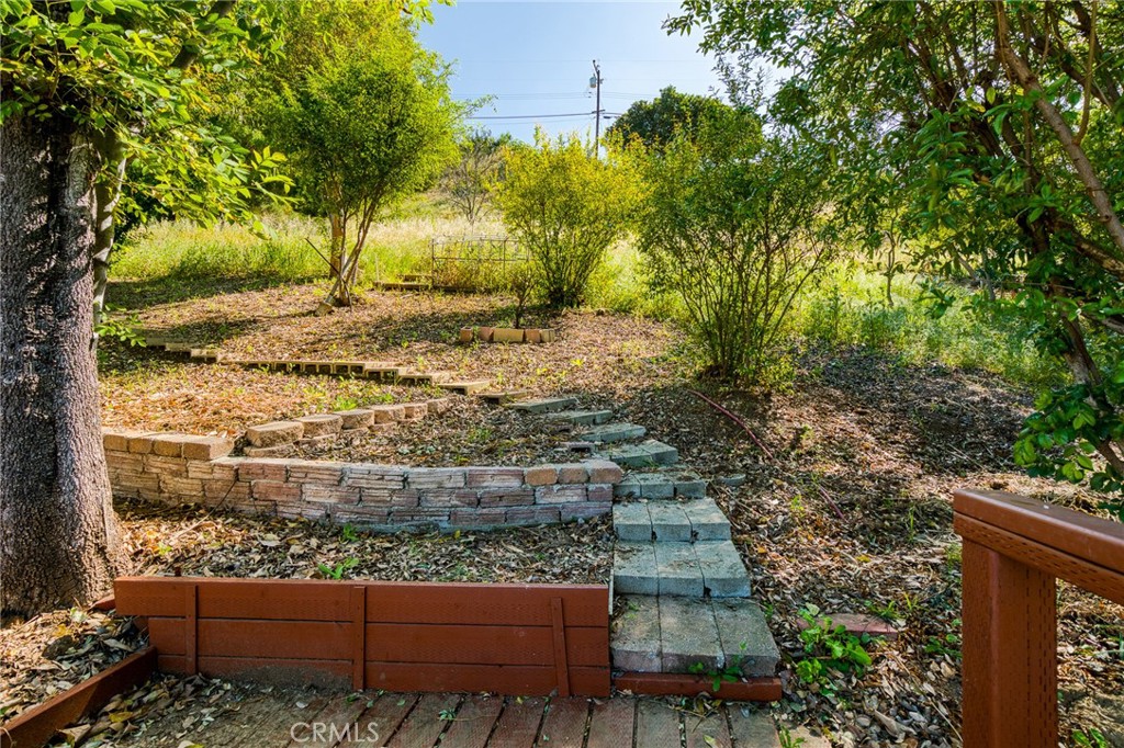 1300 Mira Valle Property Photo 27