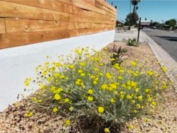 3940 E Calle San Antonio Property Photo 43