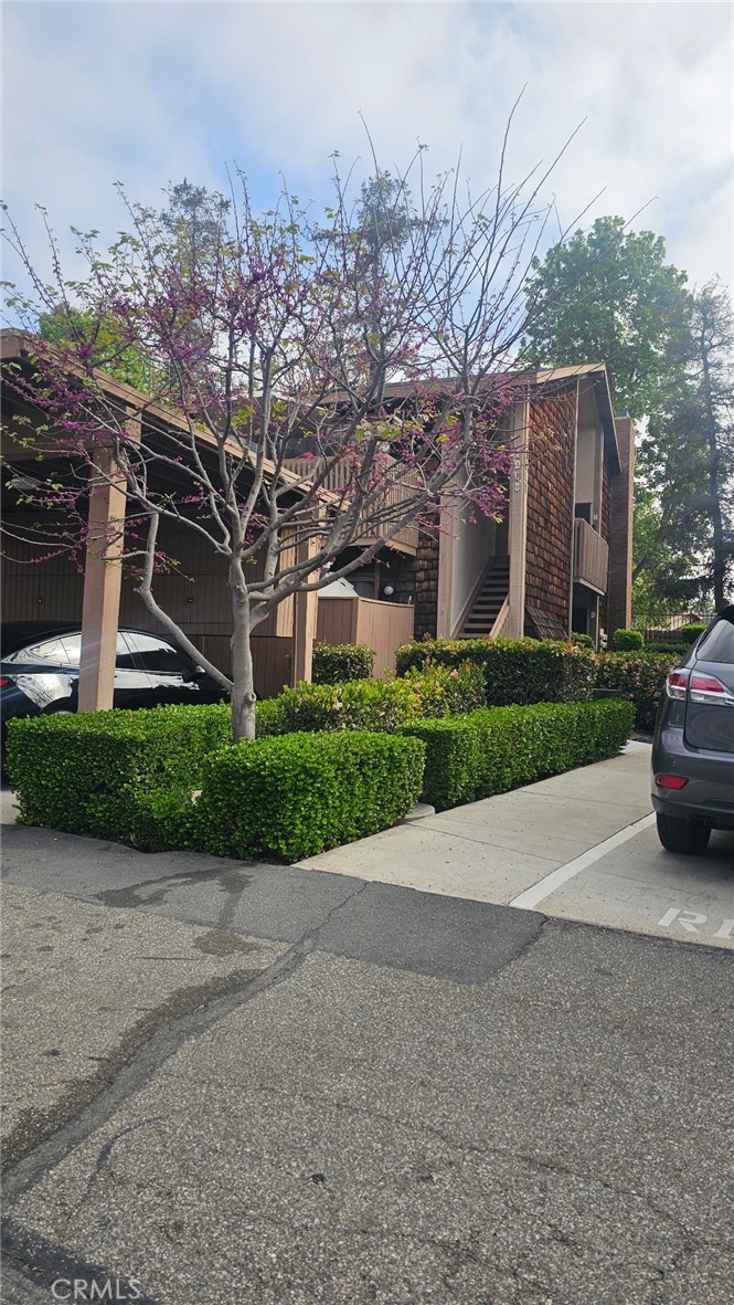 1008 Cabrillo Park C Property Photo 6