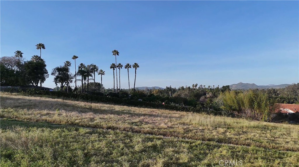 1940 Grey Rabbit Hollow Lane Property Photo 2