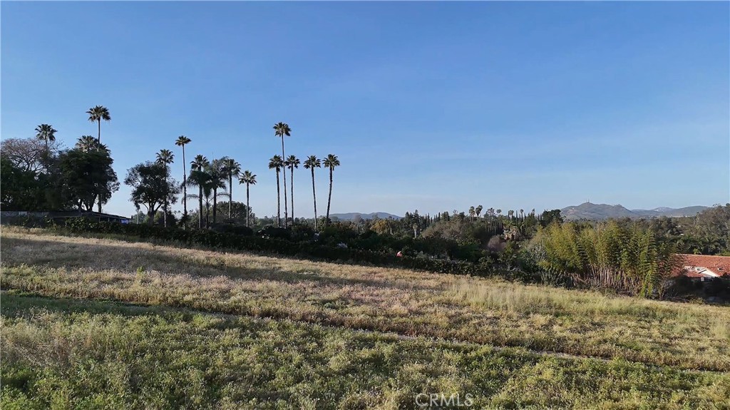 1940 Grey Rabbit Hollow Lane Property Photo 2