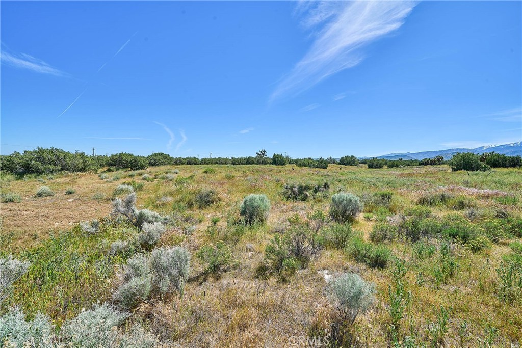 0 Phelan Property Photo 10