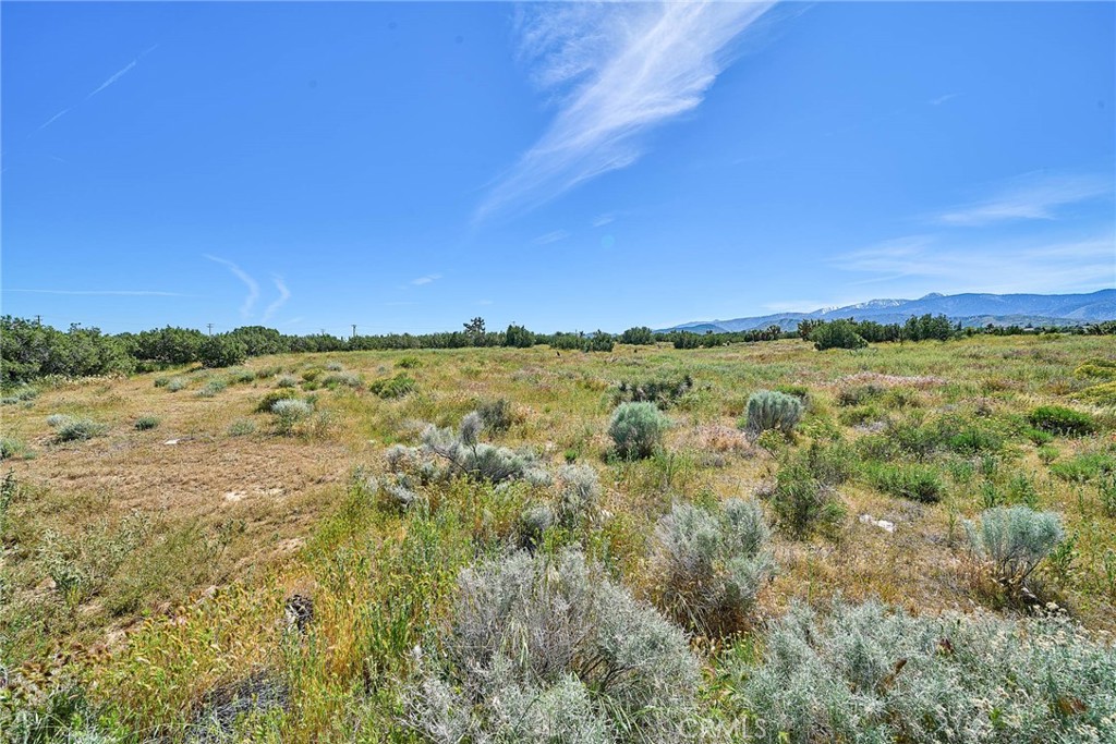 0 Phelan Property Photo 11