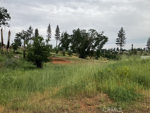 1318 Pearson Road Property Photo 4